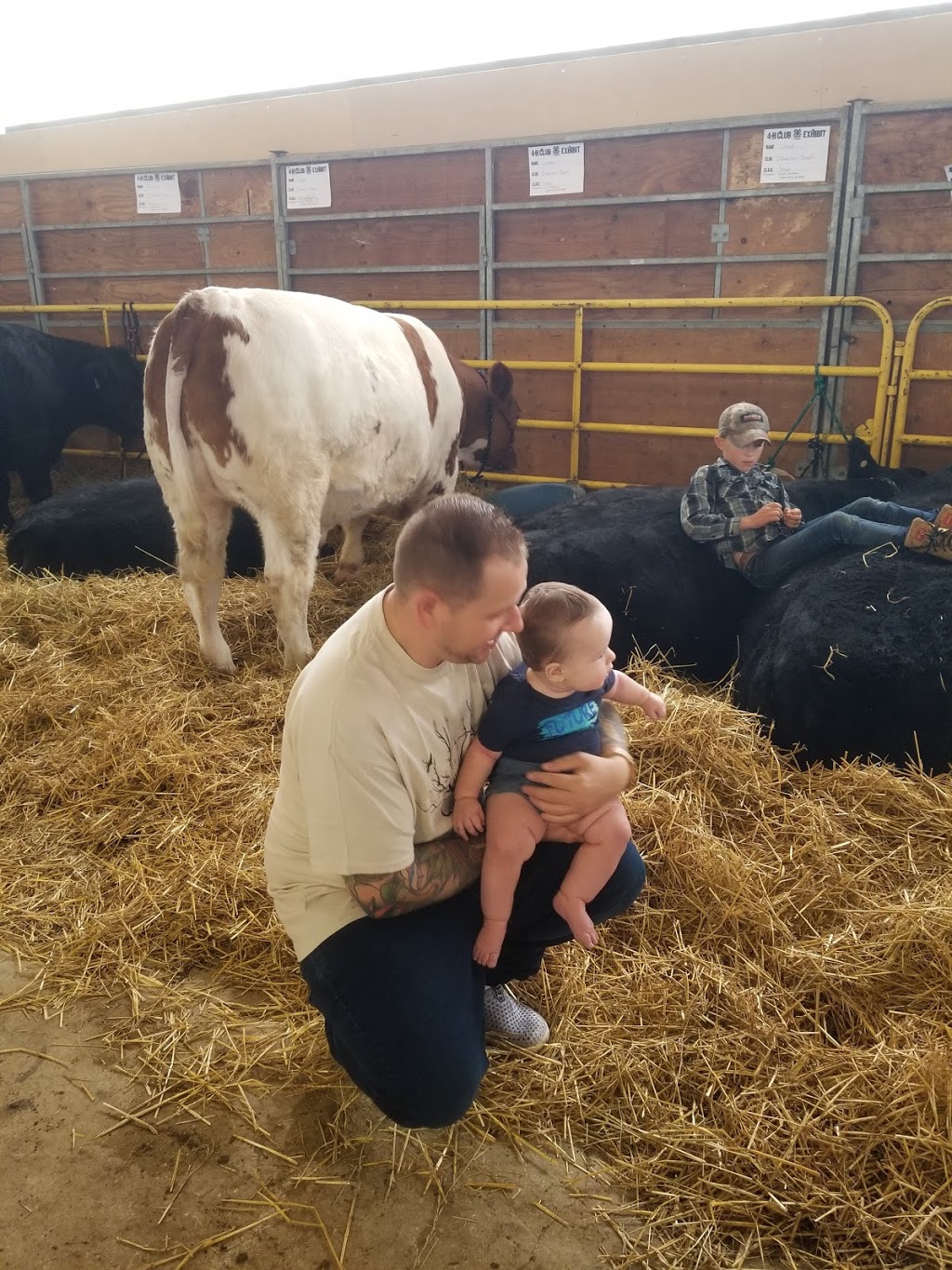 Ilderton Agricultural Society | 195 King St, Ilderton, ON N0M 2A0, Canada | Phone: (519) 666-2995