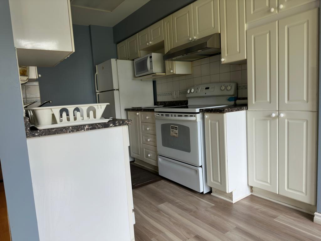 Ottogeek | 324 Cooks Mill Cres, Gloucester, ON K1V 2N3, Canada | Phone: (647) 864-9121