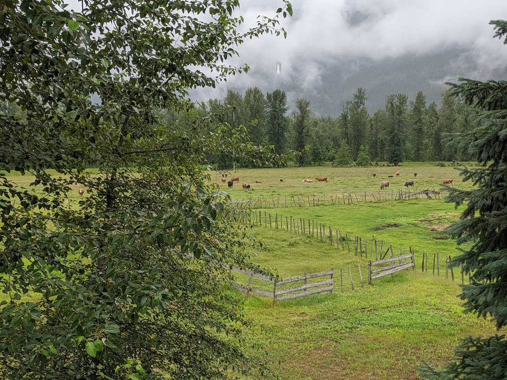 Pemberton Cattle | 7294 Clover Rd, Pemberton, BC V0N 2L1, Canada | Phone: (778) 512-4085