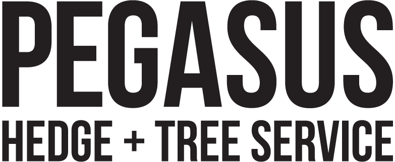 Pegasus Hedge And Tree Service | 32792 Lightbody Ct #20, Mission, BC V4S 0B4, Canada | Phone: (778) 814-2502