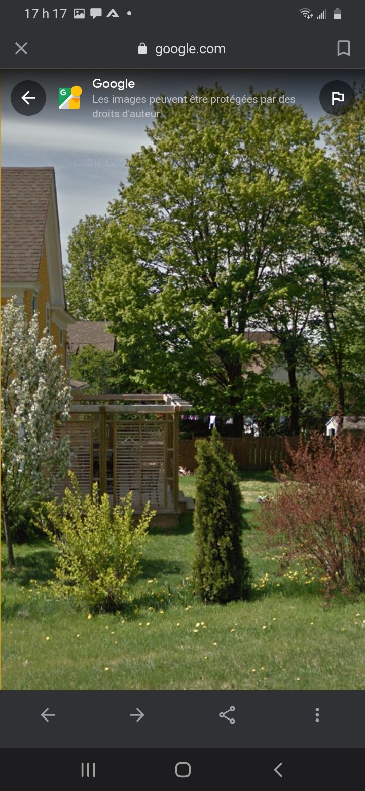 Centre dHypnothérapie du Québec | 58 Rue Victoria, East Angus, QC J0B 1R0, Canada | Phone: (819) 347-9765