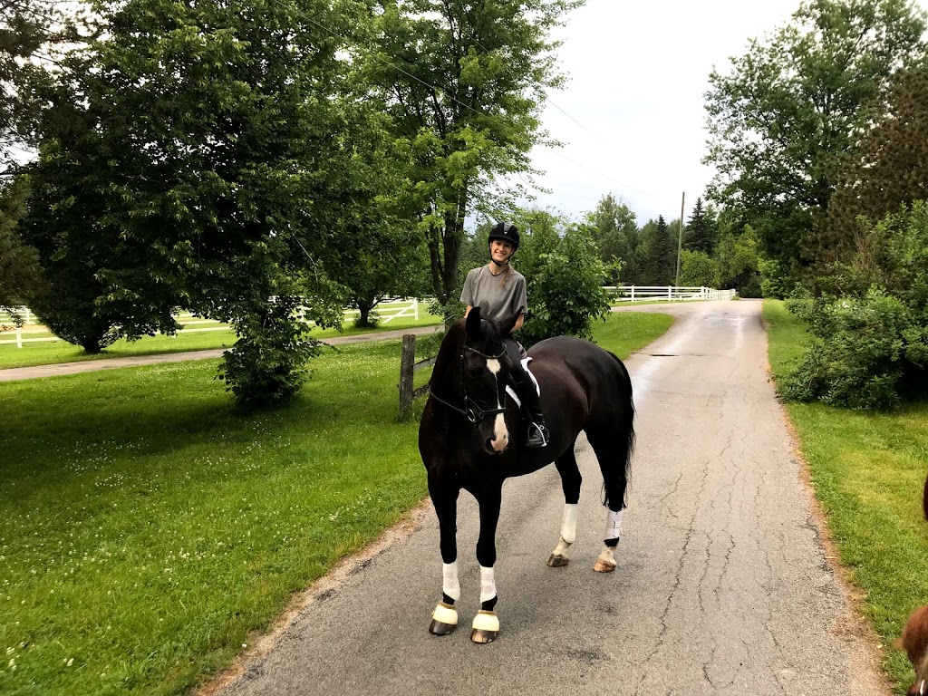 SWEETGRASS EQUESTRIAN | 13510 Fifth Line Nassagaweya, Rockwood, ON N0B 2K0, Canada | Phone: (289) 971-8778