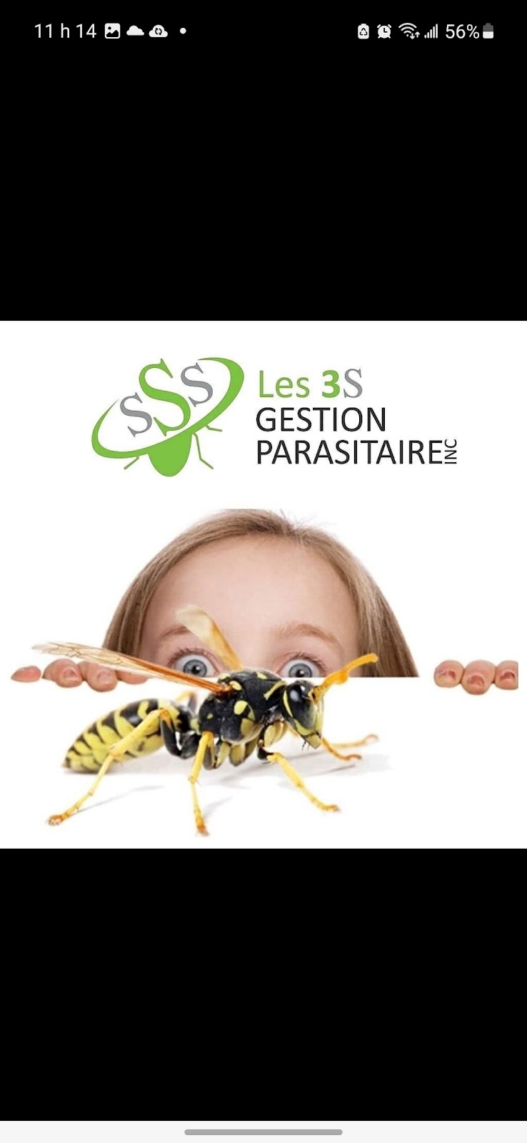Les 3s gestion parasitaire inc. | 610 Rue Angus N, East Angus, QC J0B 1R0, Canada | Phone: (819) 640-4331