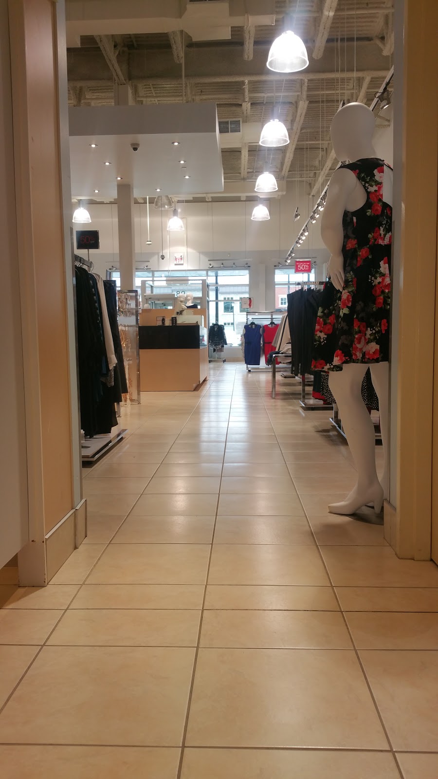 Suzy Shier | 93 Hector Gate, Dartmouth, NS B3B 0B9, Canada | Phone: (902) 464-6555