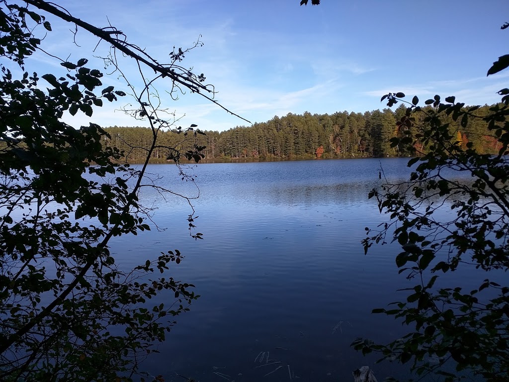 Brighton State Park | 102 State Park Rd, Island Pond, VT 05846, USA | Phone: (802) 723-4360
