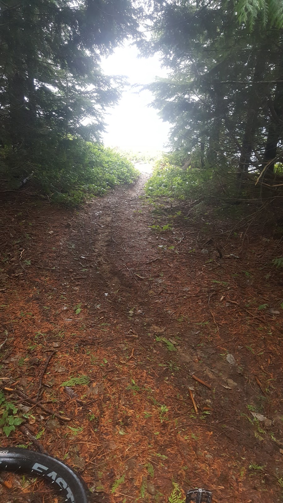 Stewart Mountain | Acme, WA 98220, USA