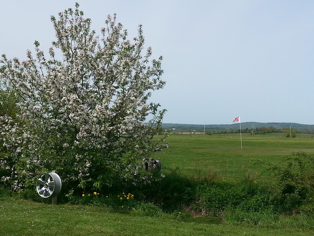 Rosevale Golf Course | 136 Redden Rd, Windsor, NS B0N 2T0, Canada | Phone: (902) 880-8048