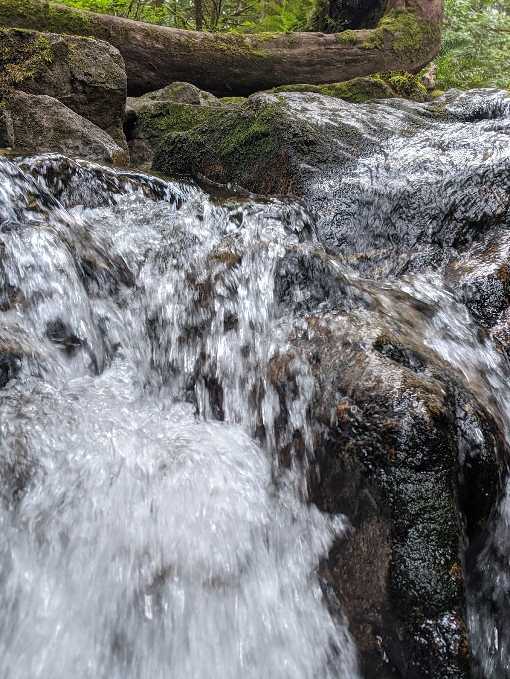 Homesite Creek Campground | 9844 Sunshine Coast Hwy, Halfmoon Bay, BC V0N 1Y2, Canada | Phone: (604) 883-9307