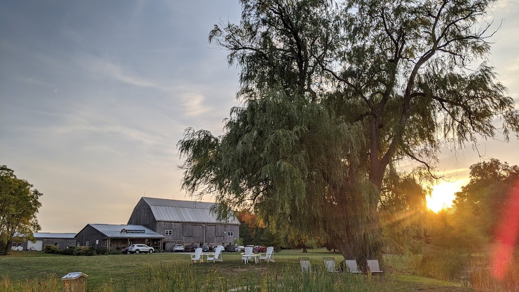 Fenwood Farm | 774 Sawmill Rd, Ancaster, ON L9G 3L1, Canada | Phone: (905) 765-1479