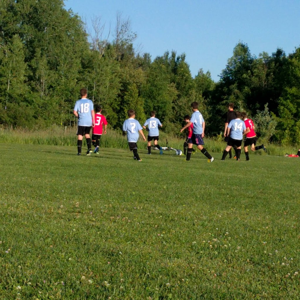 Vivian Creek Park | Center Street, Mount Albert, ON L0G 1M0, Canada | Phone: (905) 905-1111