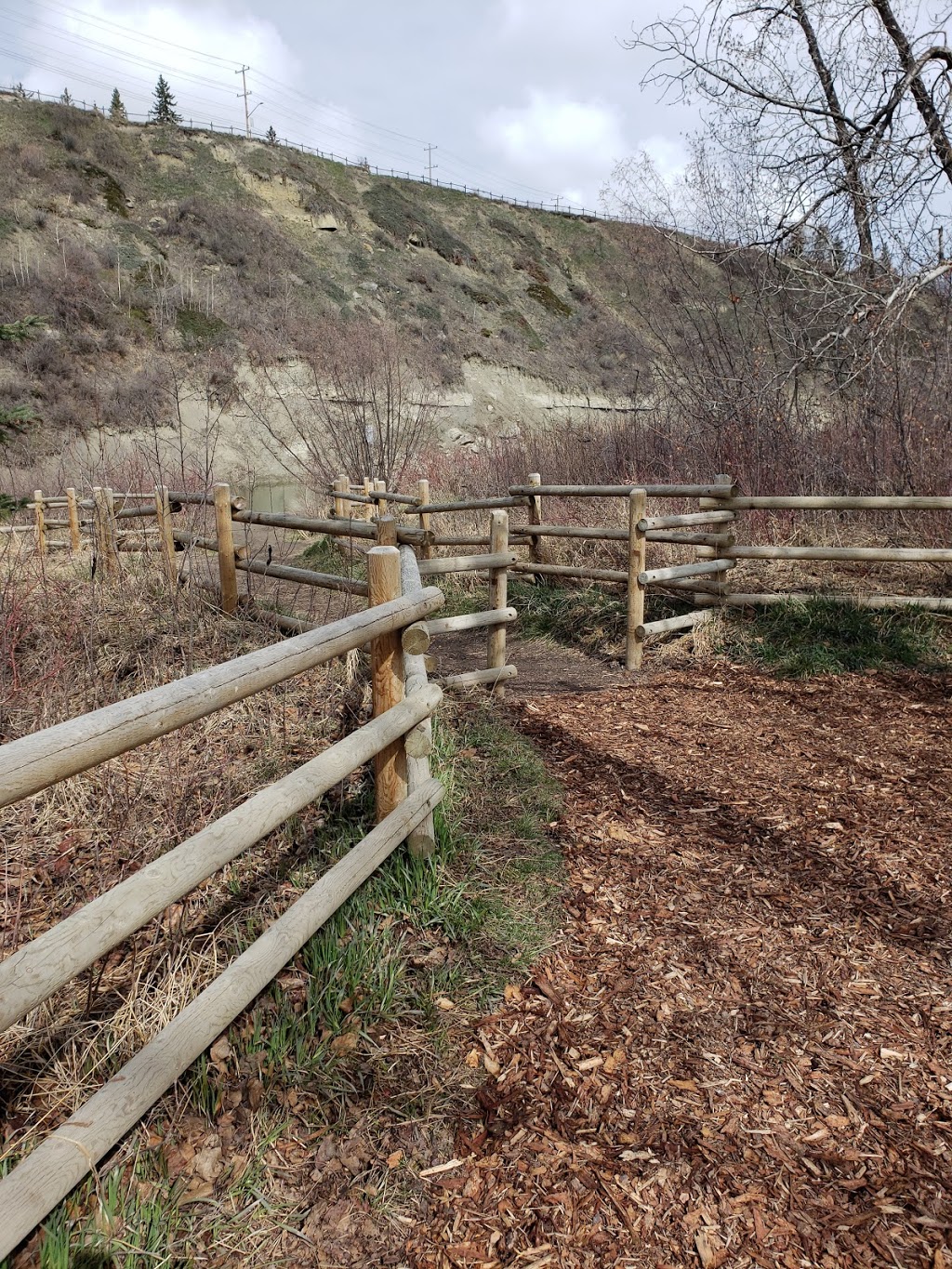 Riverdale Dog Park | 1334 Riverdale Ave SW, Calgary, AB T2S 0Y8, Canada
