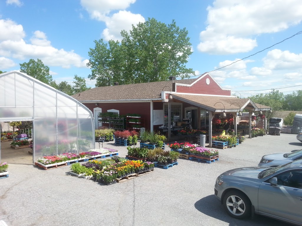 La Cabane du Maraicher | 1290 QC-235, Bedford, QC J0J 1A0, Canada | Phone: (450) 248-2222
