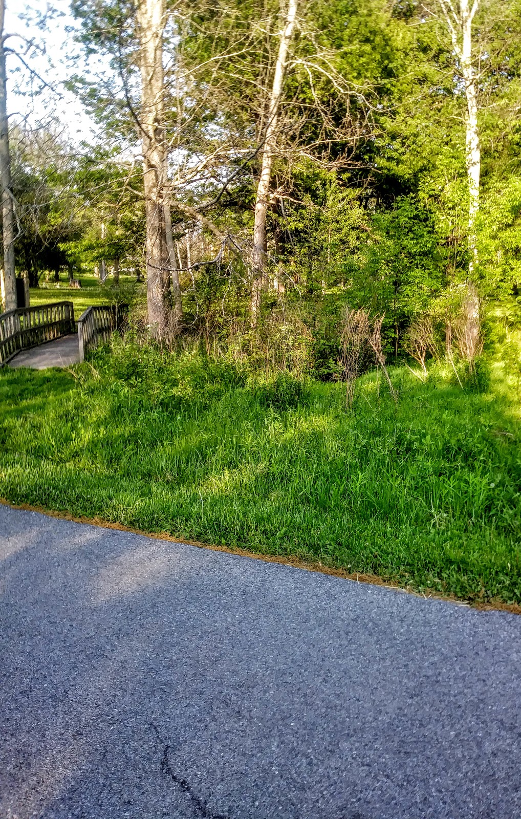 Beaver Island Nature Center | Park Rd, Beaver Island Pkwy, Grand Island, NY 14072, USA
