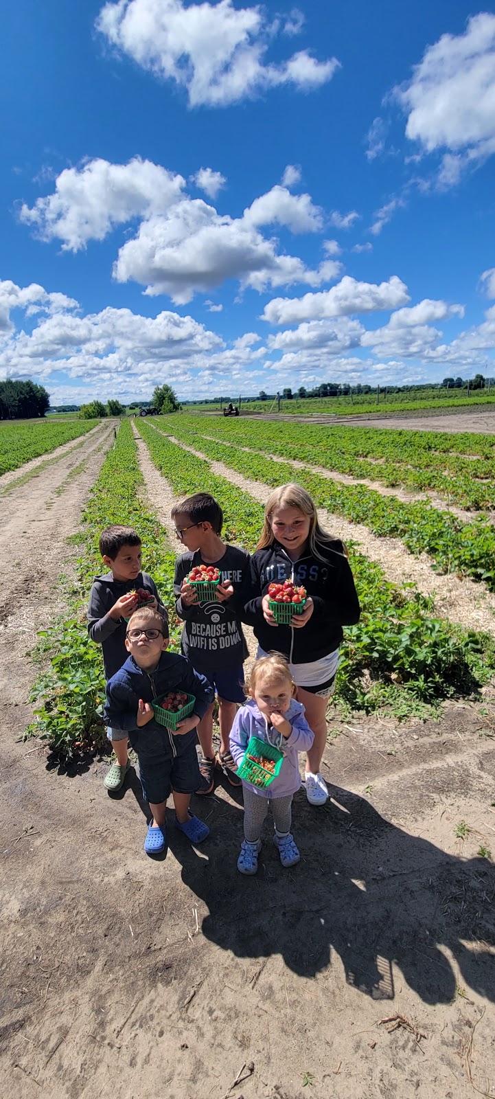 Around the Bend Berry Farm | 8591 Goosemarsh Line, Grand Bend, ON N0M 1T0, Canada | Phone: (519) 870-9977