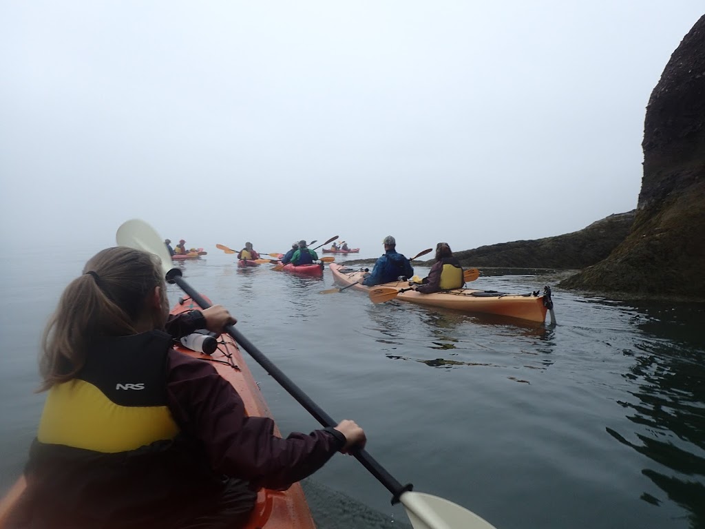 Kayak Fundy | FreshAir Adventure | 16 Fundy View Dr, Alma, NB E4H 1H6, Canada | Phone: (506) 887-2249