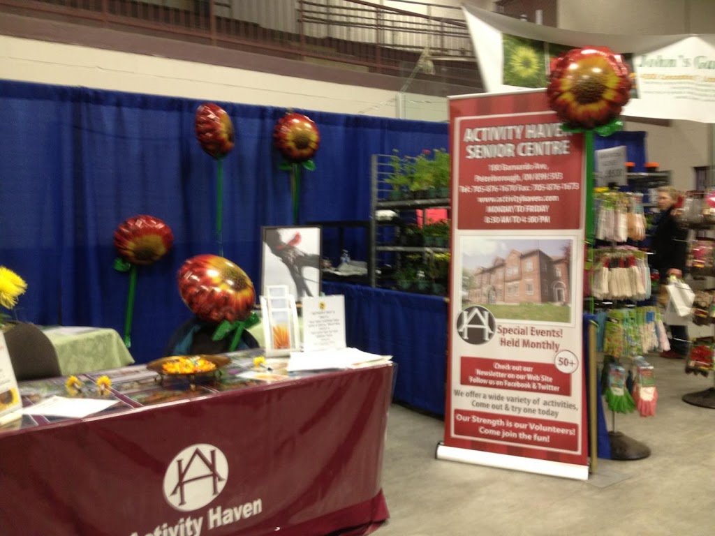 Activity Haven Senior Centre | 180 Barnardo Ave, Peterborough, ON K9H 5V3, Canada | Phone: (705) 876-1670