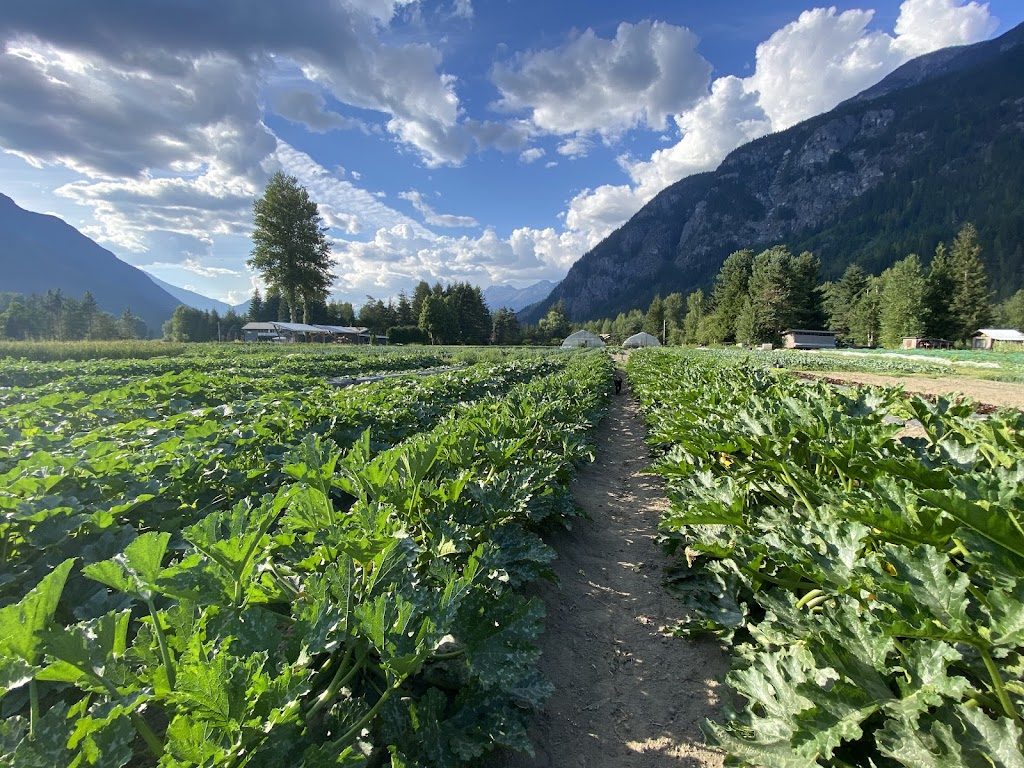 Ice Cap Organics | 770 Green Rd, Pemberton Meadows, BC V0N 2L2, Canada | Phone: (604) 966-7825