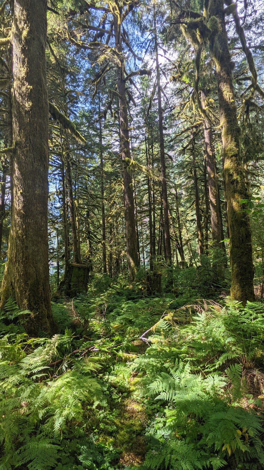 Princess Louisa Marine Provincial Park | Gibsons, BC V0N 1V6, Canada | Phone: (800) 689-9025