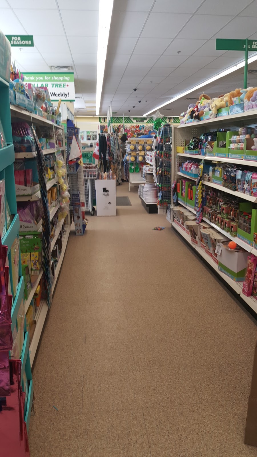 Dollar Tree | 2432 Eglinton Ave E, Scarborough, ON M1K 2P8, Canada | Phone: (416) 750-8555