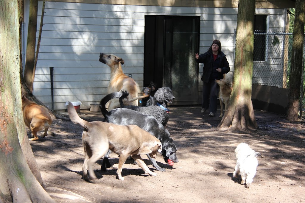 Happy Tails Dog Daycare | 2285 Sylvester Rd RR 2, Shawnigan Lake, BC V0R 2W2, Canada | Phone: (250) 743-9897