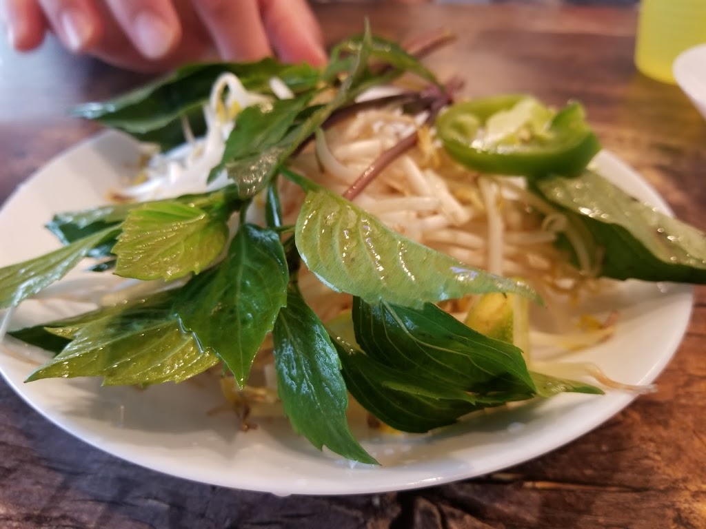 IPho and Grill Vietnamese Cuisine | 6104 104 St NW, Edmonton, AB T6H 2K7, Canada | Phone: (780) 760-9900