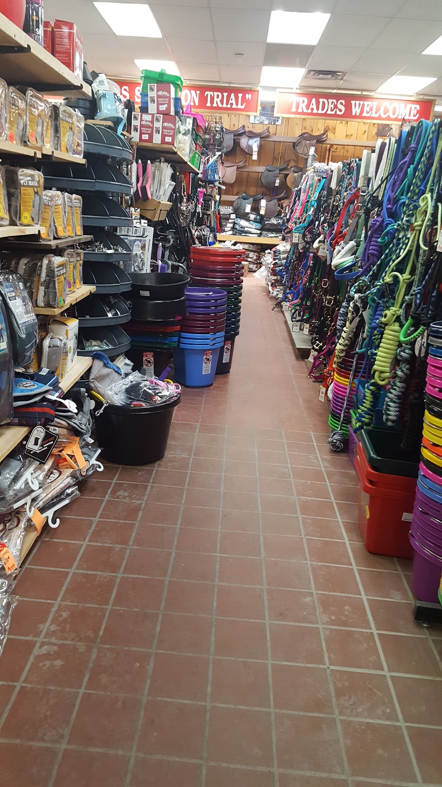 Apple Saddlery | 1875 Innes Rd, Gloucester, ON K1B 4C6, Canada | Phone: (613) 744-4040
