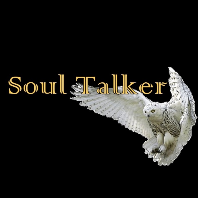 Soul Talker | 106-2699 Battleford Rd, Mississauga, ON L5N 3R9, Canada | Phone: (905) 691-0830