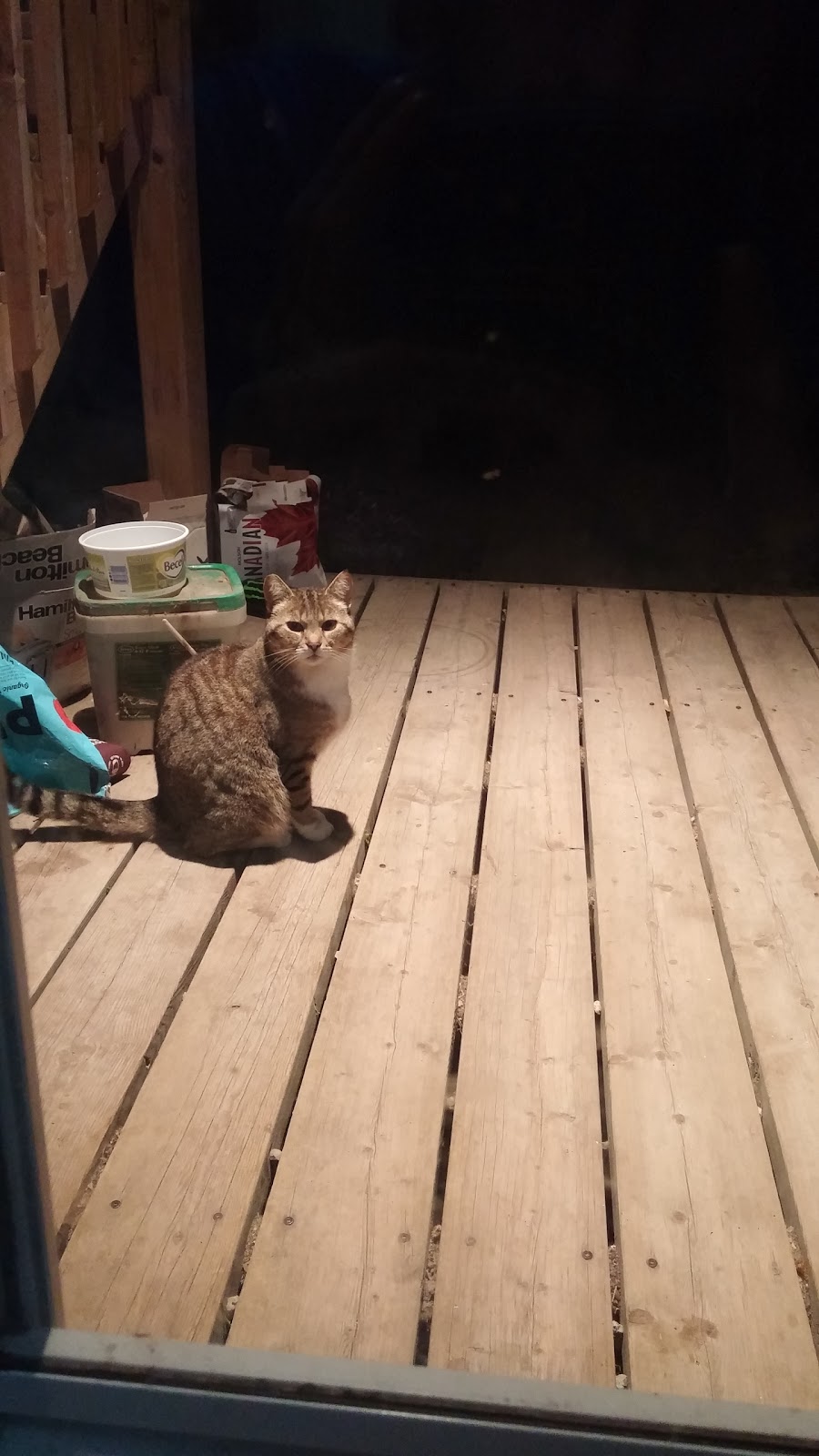 Croft Farm Boarding Kennels | 1851 Concession 6 Walpole, Jarvis, ON N0A 1J0, Canada | Phone: (905) 779-3060