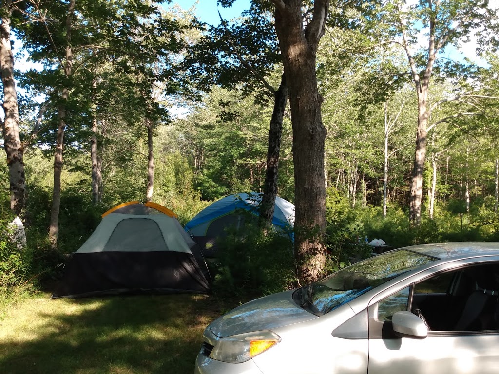 Little Lake Family Campground | 11677 Nova Scotia Trunk 3, Lunenburg, NS B0J 2C0, Canada | Phone: (902) 634-4308