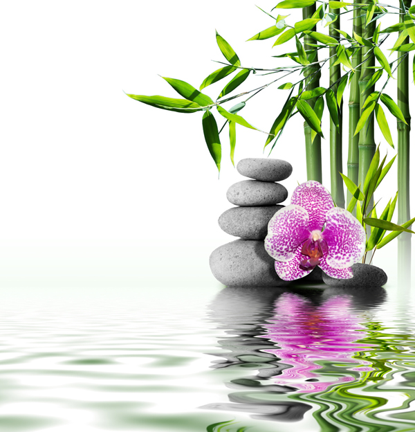 Sea Lavender Wellness Centre | Stairs Only, 2373A Eglinton Ave E Floor 2, Scarborough, ON M1K 2M5, Canada | Phone: (647) 430-2459