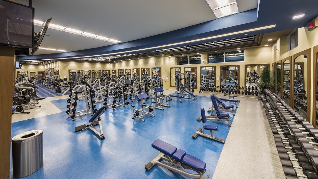 Movati Athletic | 80 Stone Rd W, Guelph, ON N1G 0A9, Canada | Phone: (519) 824-2200