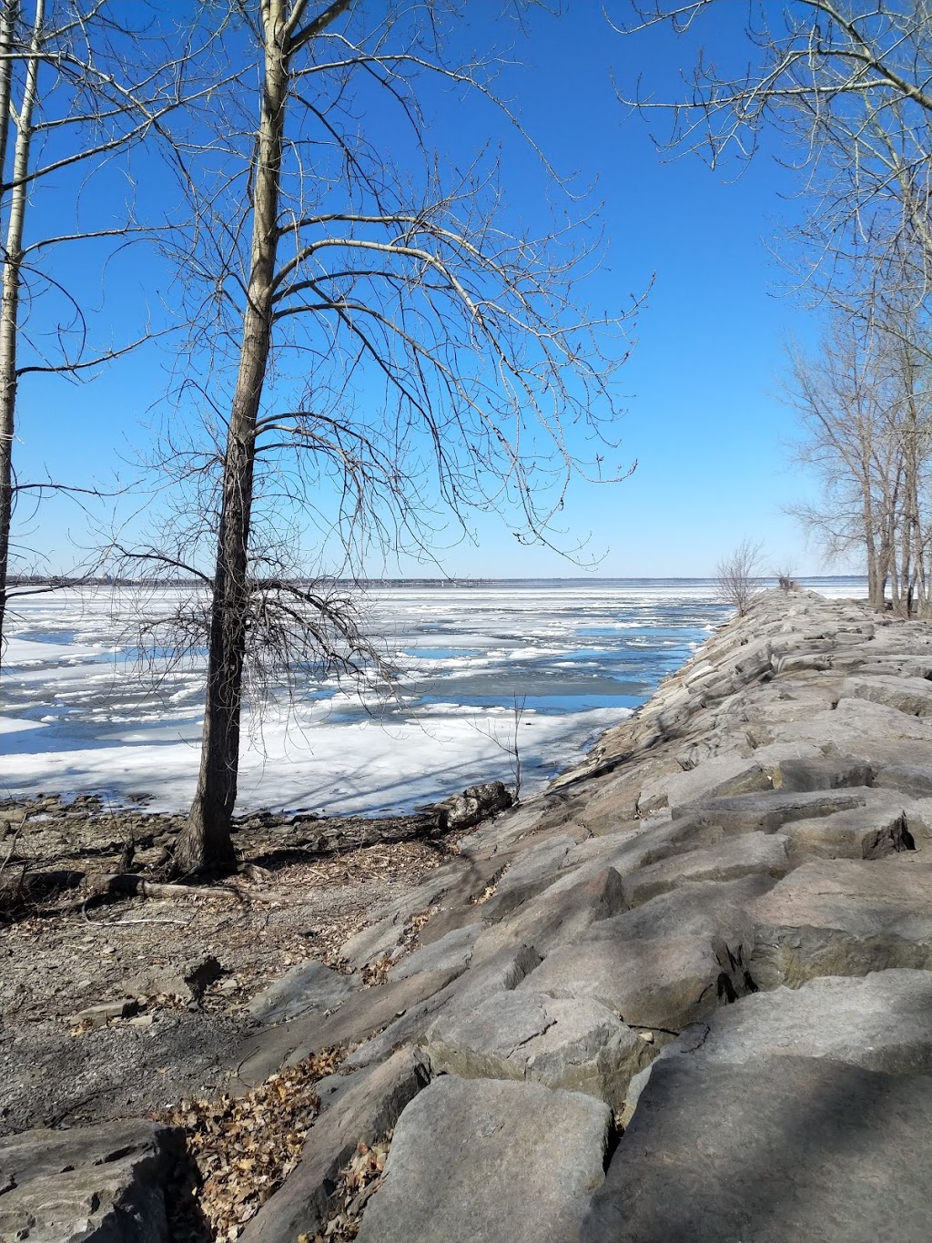 Britannia Park and Beach | 2805 Carling Ave, Ottawa, ON K2B 8K6, Canada | Phone: (613) 580-2595