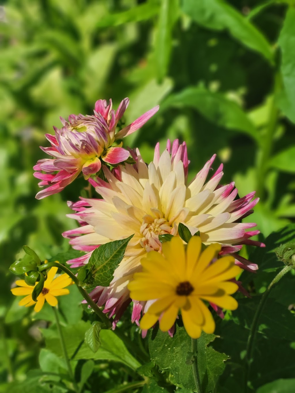 The MicroFarm on Green Lake | 6634 Valleyview Dr, Nanaimo, BC V9T 5R7, Canada | Phone: (250) 618-8751