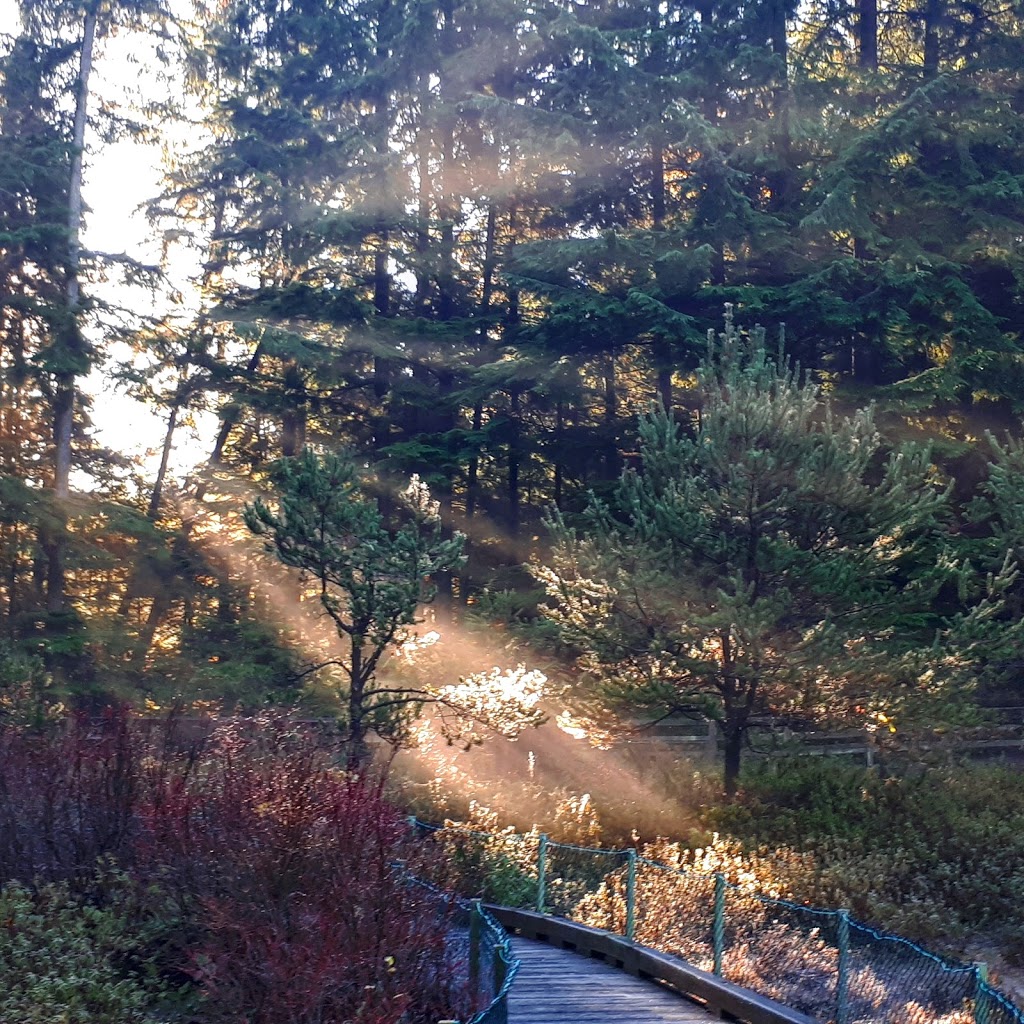 Camosun Bog | Imperial Dr, Vancouver, BC V6S, Canada