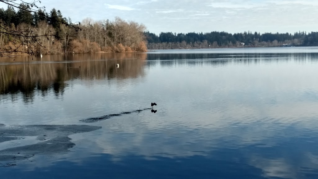 Elk / Beaver Lake Regional Park | Patricia Bay Hwy, Victoria, BC V8Y 2T6, Canada