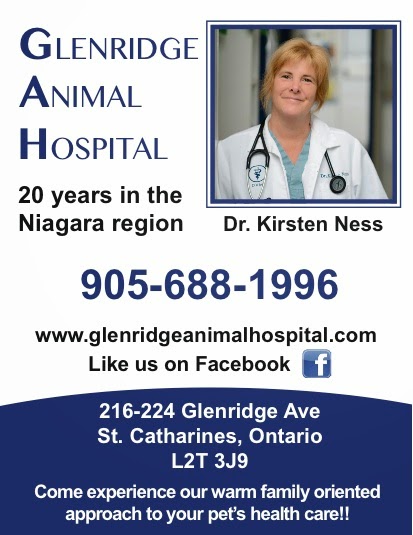 Glenridge Animal Hospital | 224 Glenridge Avenue, St. Catharines, ON L2T 3J9, Canada | Phone: (905) 688-1996