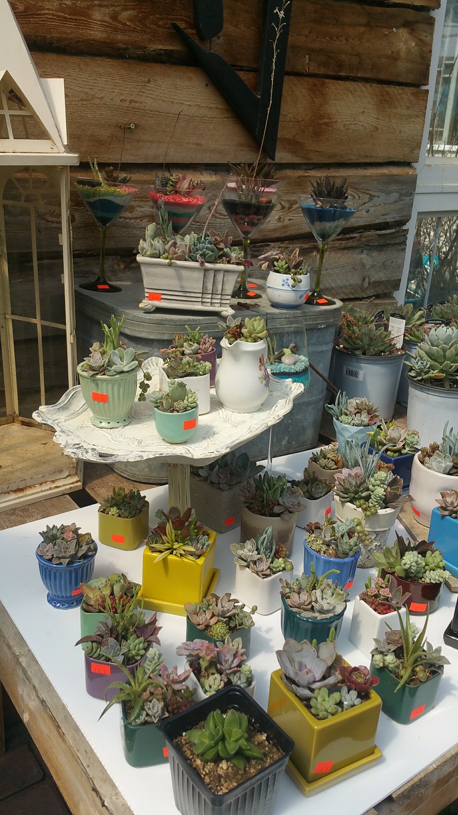 CherryLane Greenhouse and Gifts | Box 19 Site 200 Rr2, Regina, SK S4P 2Z2, Canada | Phone: (306) 535-9365