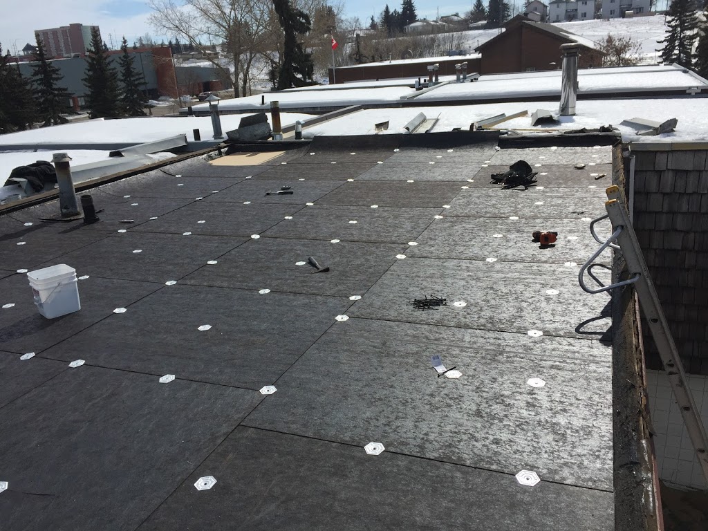 Albany Roofing Ltd | 2219 30 St SW, Calgary, AB T3E 2L7, Canada | Phone: (403) 923-2065