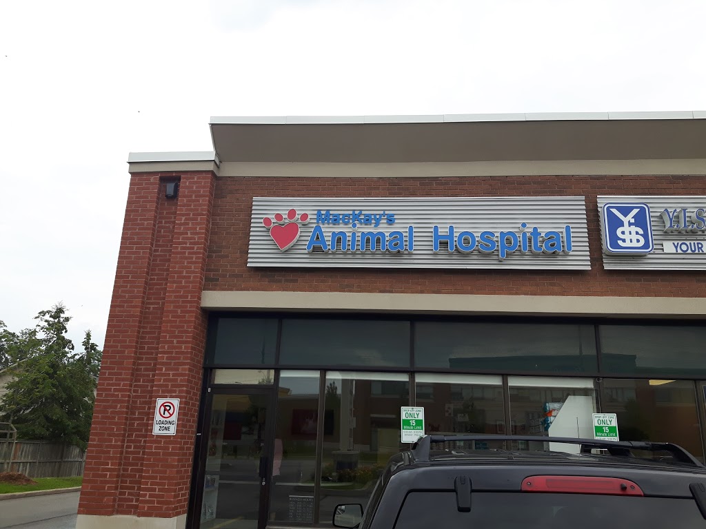 MacKays Animal Hospital | 5014 New St Unit 1, Burlington, ON L7L 1V1, Canada | Phone: (905) 632-0490