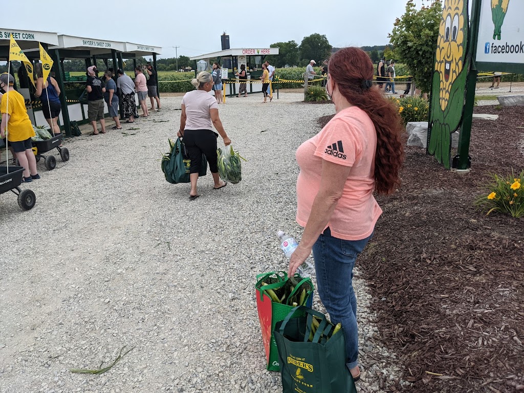 Snyders Sweet Corn | 1863 Haldimand Rd 9, Caledonia, ON N3W 2K1, Canada | Phone: (905) 765-0072