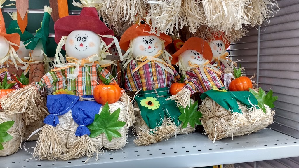 Dollarama | Parkdale Plaza, 462 Albert St, Waterloo, ON N2L 3V4, Canada | Phone: (519) 884-5324
