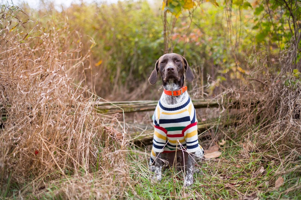 Allison Clark Photography | 17 Gollop Crescent, Georgetown, ON L7G 5P1, Canada | Phone: (416) 712-3459