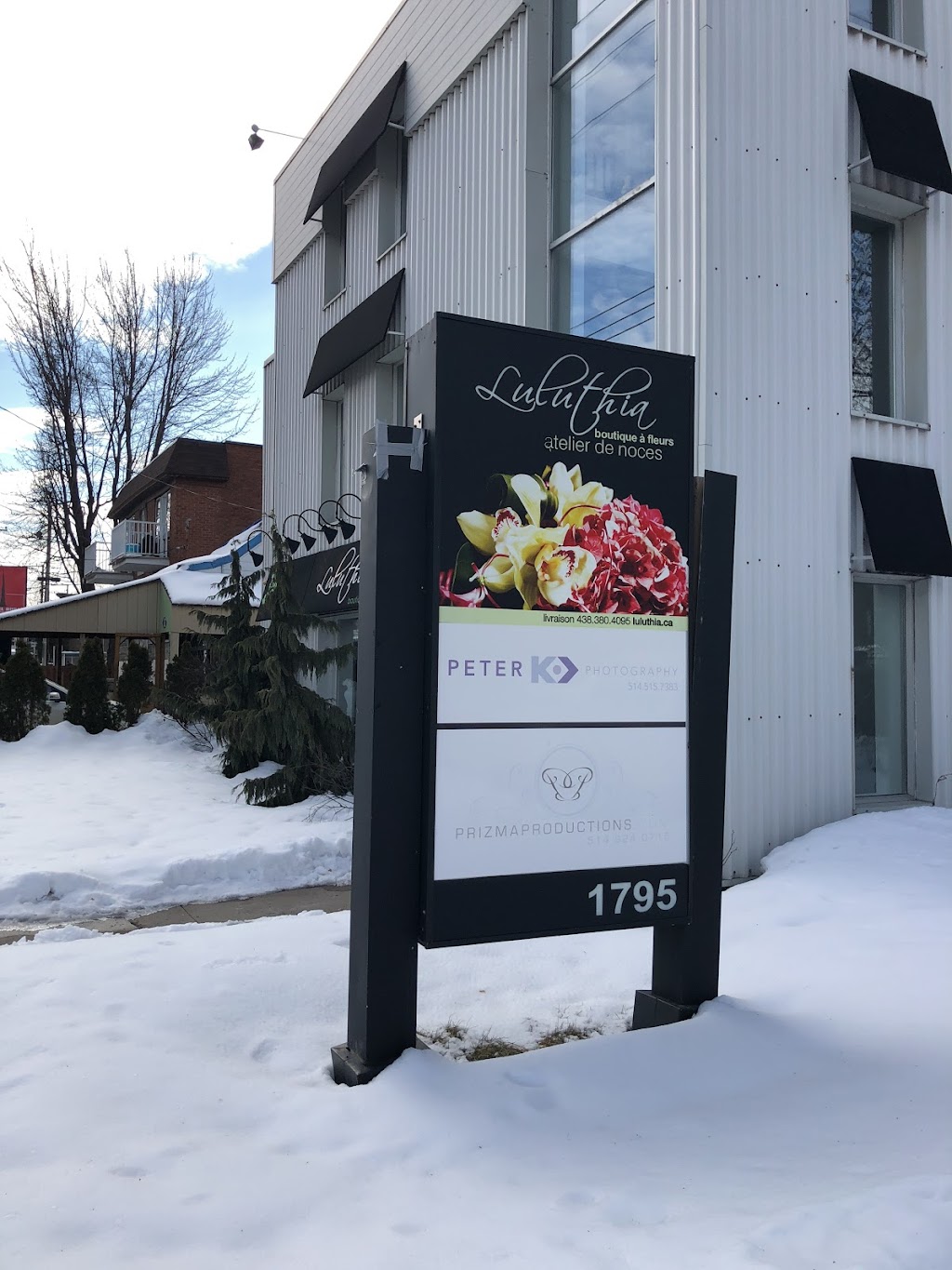 Luluthia Design - Party Room | 1795 Rue de Salaberry, Montréal, QC H3M 1K5, Canada | Phone: (514) 884-7382