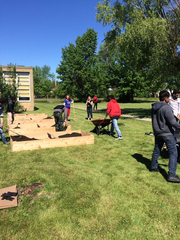 CCI Community Garden | 756 St Lawrence Ave, Buffalo, NY 14216, USA | Phone: (716) 783-9653