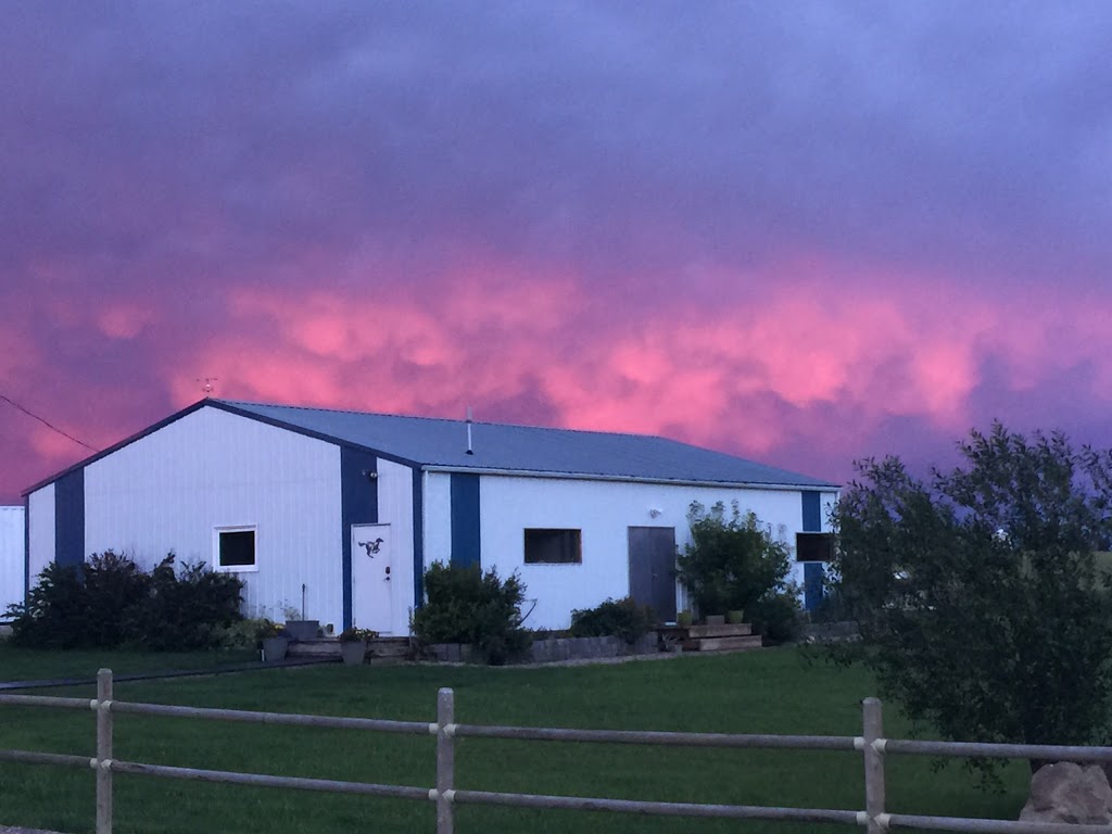 Barrett Veterinary Practice | 4 Railway Ave E Box 406, Dalemead, AB T0J 0V0, Canada | Phone: (403) 860-5763