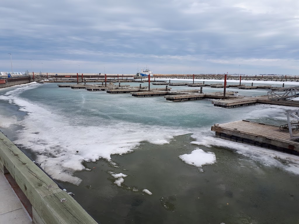 Europa | 1B1, 81 1 Avenue, Gimli, MB R0C 1B0, Canada | Phone: (204) 642-4115