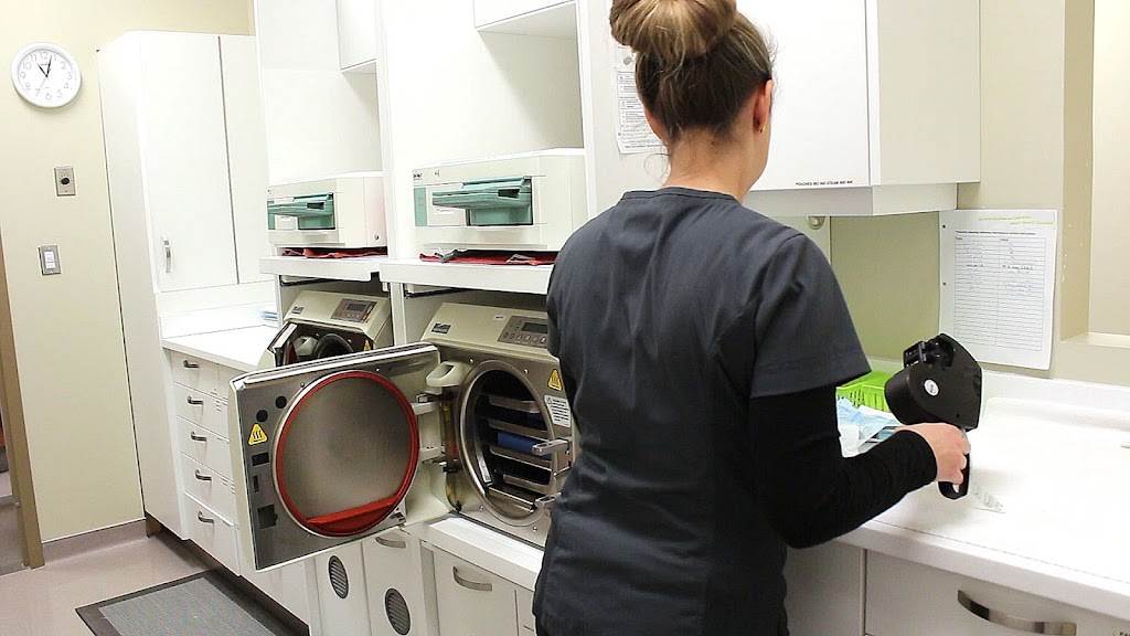 Crowsnest Dental | 2132 129 St, Blairmore, AB T0K 0E0, Canada | Phone: (403) 562-2236