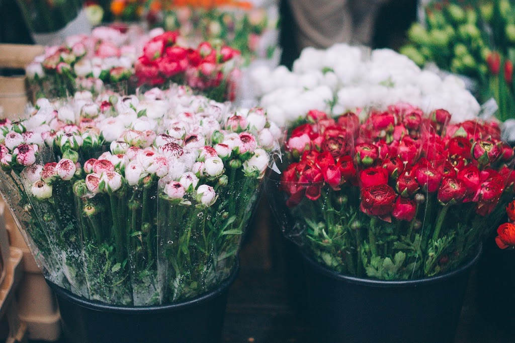 Donna Flora | 7 Rowley St, Richmond Hill, ON L4E 0C3, Canada | Phone: (416) 575-5257