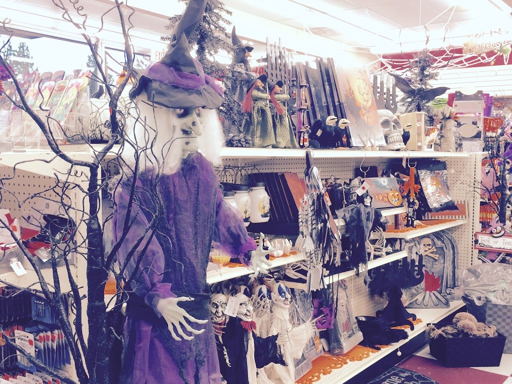 Your Dollar Store With More | 1960 Como Lake Ave, Coquitlam, BC V3J 3R3, Canada | Phone: (778) 355-9465
