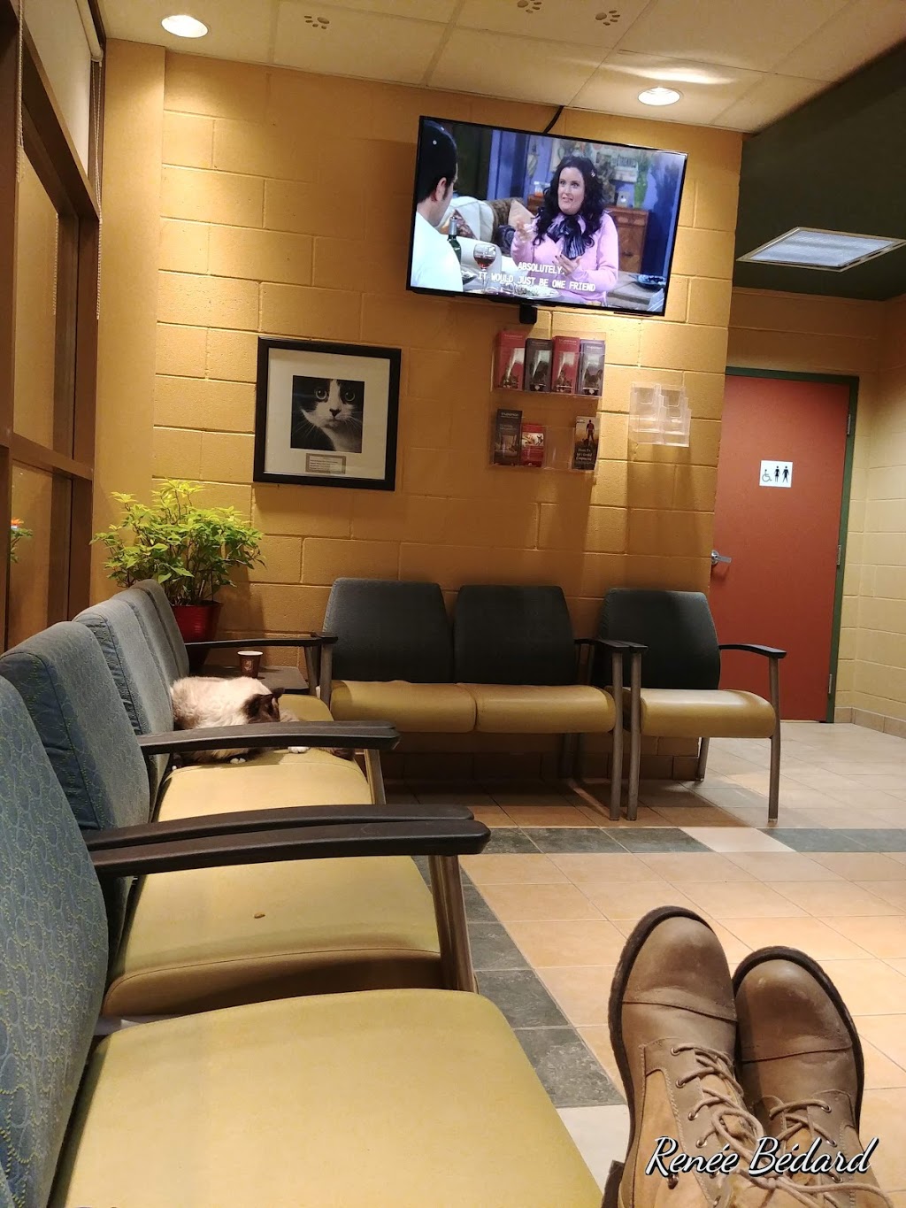 VCA Canada Alta Vista Animal Hospital | 2616 Bank St, Gloucester, ON K1T 1M9, Canada | Phone: (613) 731-6851